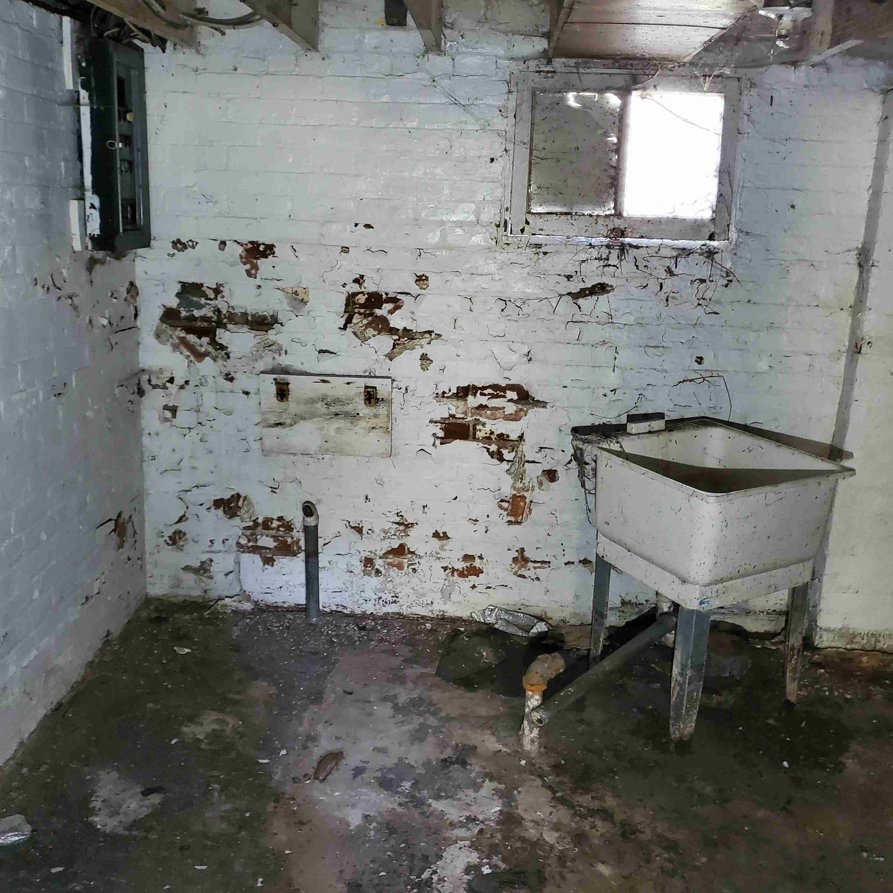 20200812_154248 (2).jpg